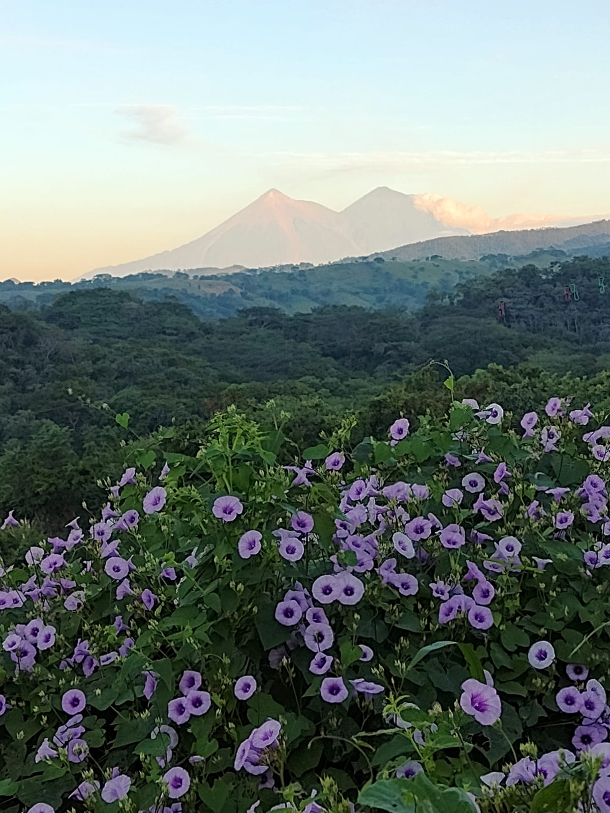 Corregir el Déficit de Naturaleza